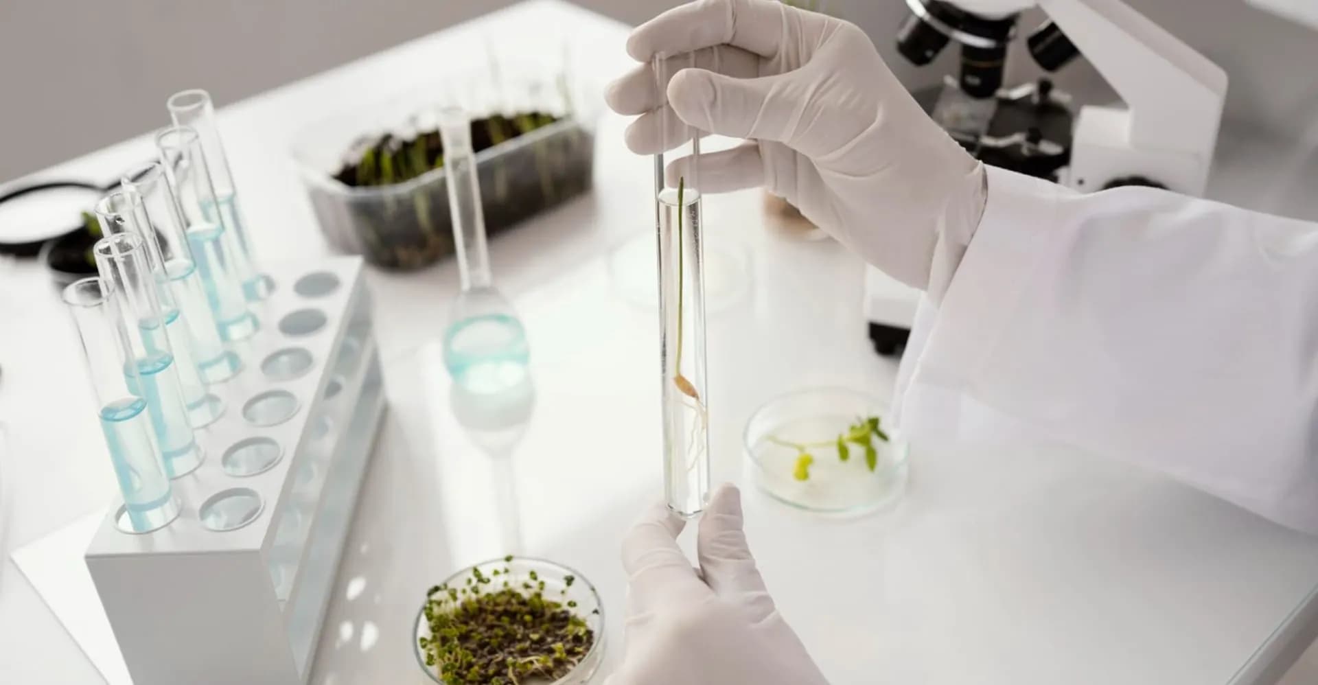 Mão enluvada segura um tubo de ensaio com líquido claro, ao lado de uma estante de tubos, placas com amostras vegetais e um microscópio.
