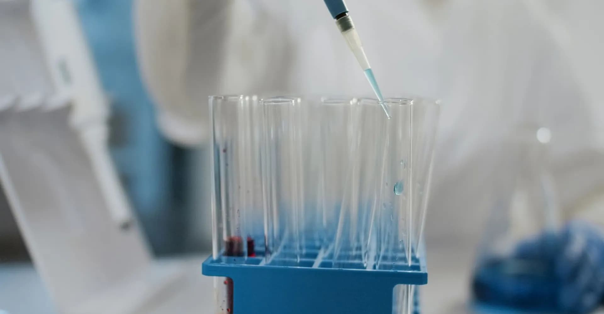 Micropipeta dispensando líquido em tubos de ensaio posicionados num suporte azul, com vidraria desfocada ao fundo.