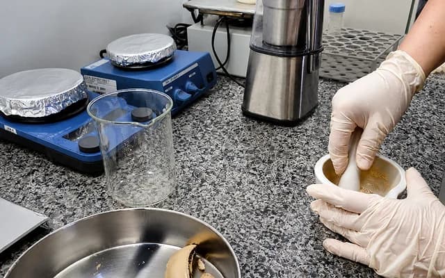 Mãos com luvas macerando uma amostra em almofariz de porcelana, ao lado de agitadores magnéticos e vidraria na bancada.
